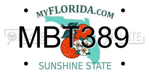 MBT389 Florida License Plate