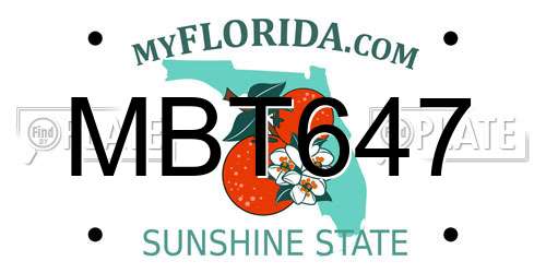 MBT647 Florida License Plate