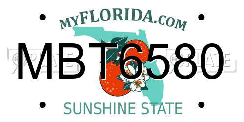 MBT6580 Florida License Plate