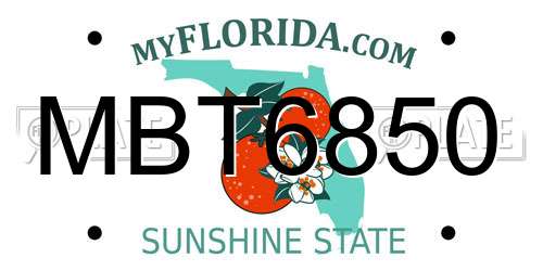 MBT6850 Florida License Plate