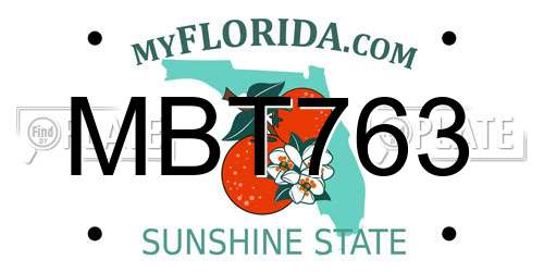 MBT763 Florida License Plate