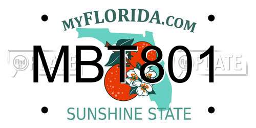 MBT801 Florida License Plate