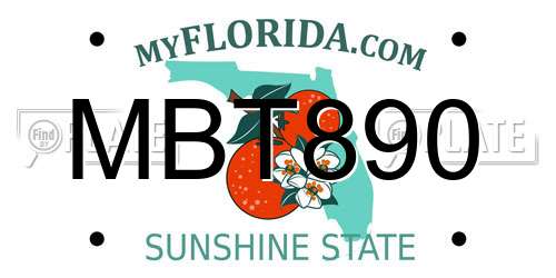MBT890 Florida License Plate