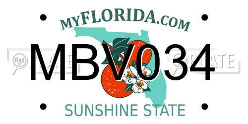 MBV034 Florida License Plate