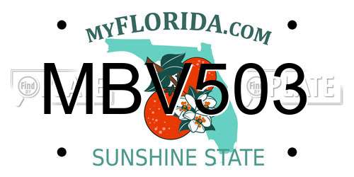 MBV503 Florida License Plate