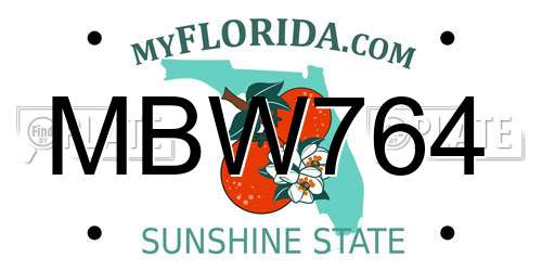 MBW764 Florida License Plate