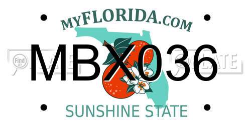 MBX036 Florida License Plate