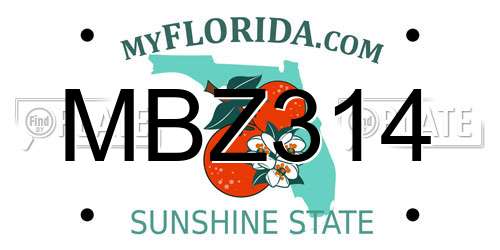 MBZ314 Florida License Plate