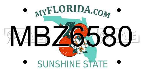 MBZ6580 Florida License Plate