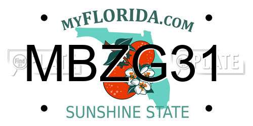 MBZG31 Florida License Plate