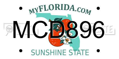 MCD896 Florida License Plate