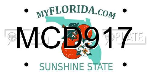 MCD917 Florida License Plate