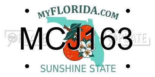 MCJ163 Florida License Plate