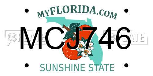 MCJ746 Florida License Plate