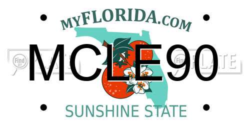 MCLE90 Florida License Plate