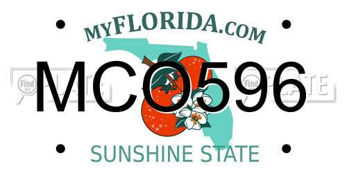 MCO596 Florida License Plate