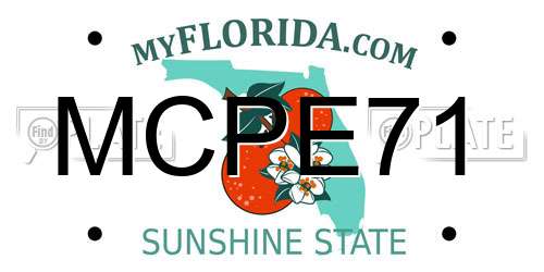 MCPE71 Florida License Plate