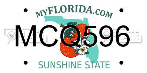 MCQ596 Florida License Plate