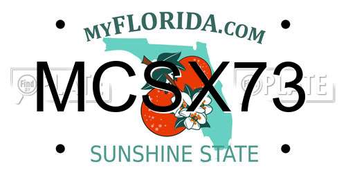 MCSX73 Florida License Plate