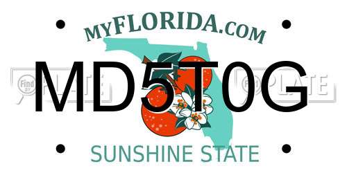 MD5T0G Florida License Plate