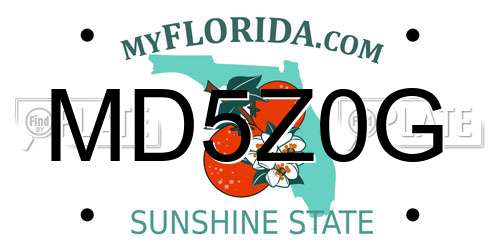 MD5Z0G Florida License Plate