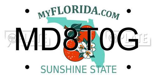 MD8T0G Florida License Plate