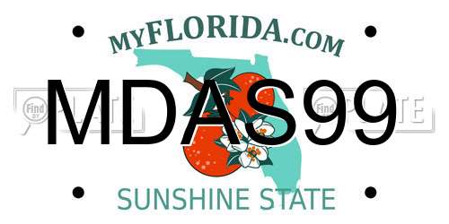 MDAS99 Florida License Plate