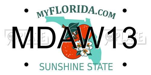 MDAW13 Florida License Plate