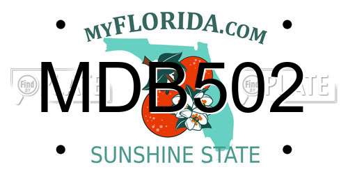 MDB502 Florida License Plate