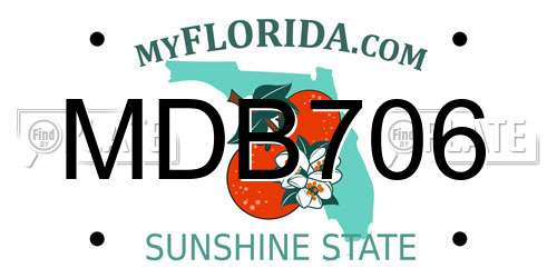 MDB706 Florida License Plate