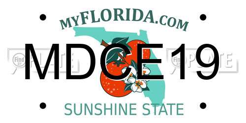 MDCE19 Florida License Plate
