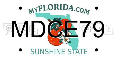 MDCE79 Florida License Plate