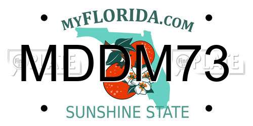 MDDM73 Florida License Plate
