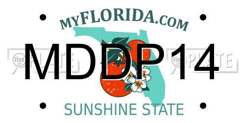 MDDP14 Florida License Plate