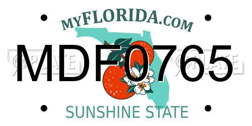MDF0765 Florida License Plate