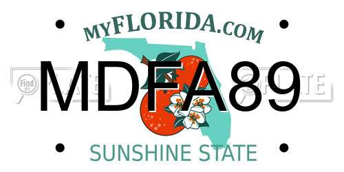 MDFA89 Florida License Plate