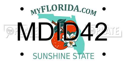 MDID42 Florida License Plate