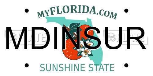 MDINSUR Florida License Plate