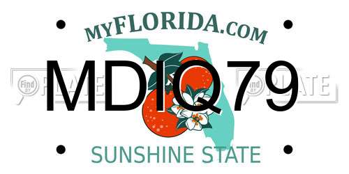 MDIQ79 Florida License Plate