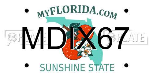MDIX67 Florida License Plate