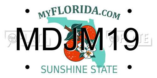 MDJM19 Florida License Plate