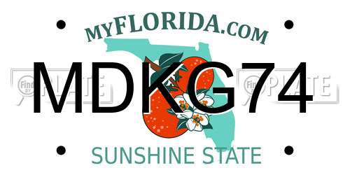 MDKG74 Florida License Plate