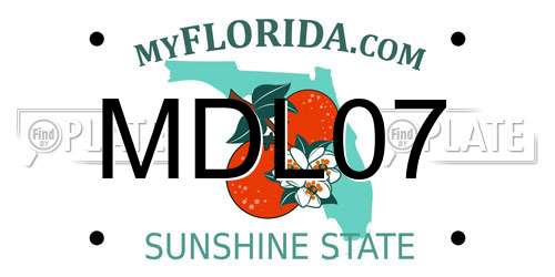MDL07 Florida License Plate