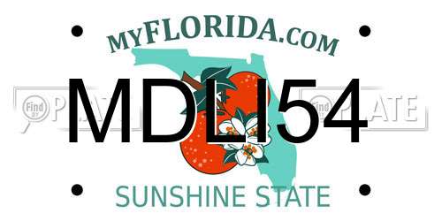 MDLI54 Florida License Plate