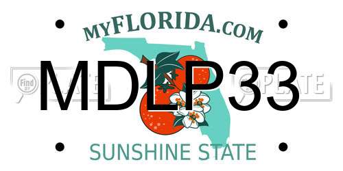 MDLP33 Florida License Plate