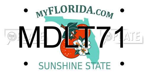 MDLT71 Florida License Plate