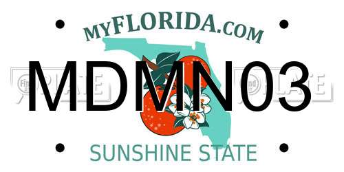 MDMN03 Florida License Plate