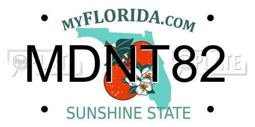 MDNT82 Florida License Plate