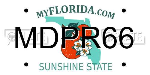 MDPR66 Florida License Plate