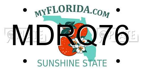 MDRQ76 Florida License Plate